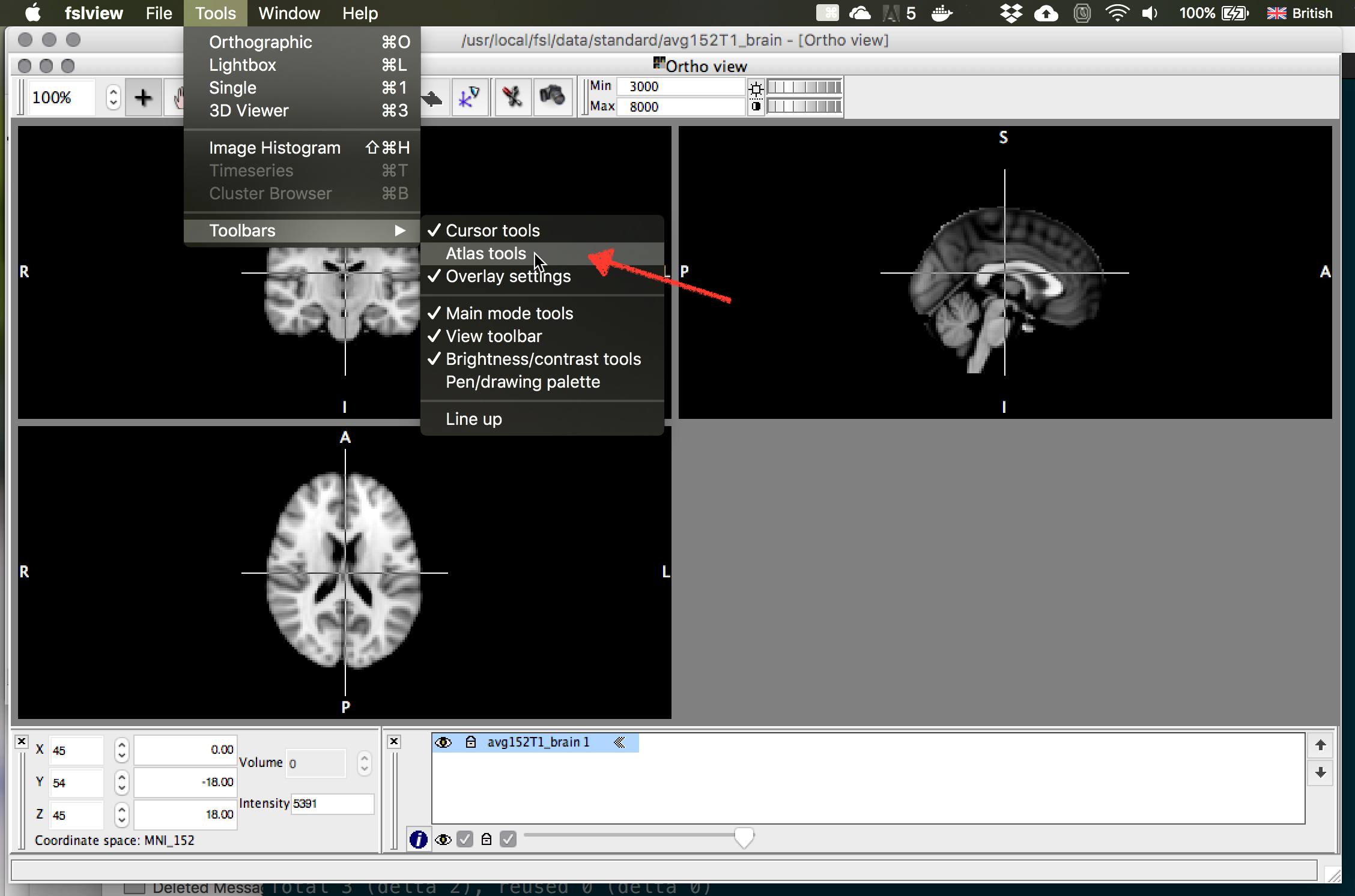 atlas tools in fslview